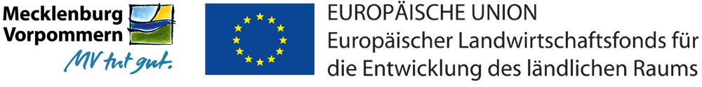 EU FM Logo